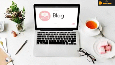 thestripesblog contact fisher