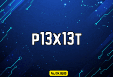 p13x13t