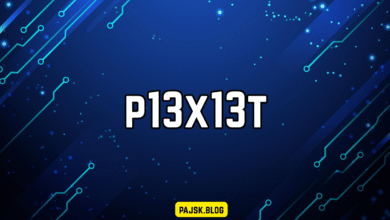 p13x13t